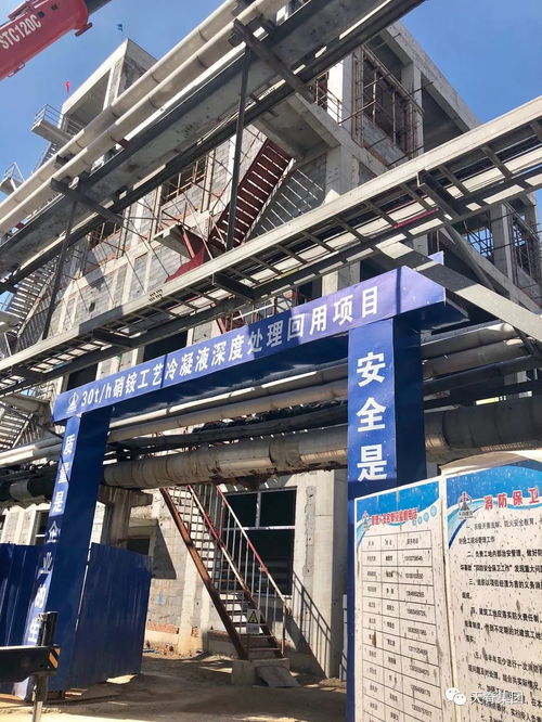 假日无休,他们坚守岗位攻坚环保