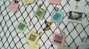 抖音同款撩汉把妹神器上线，助力社交环保新风尚